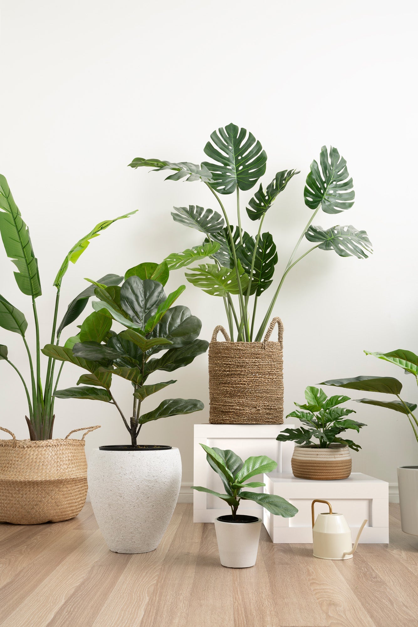 TOP PRODUCTS