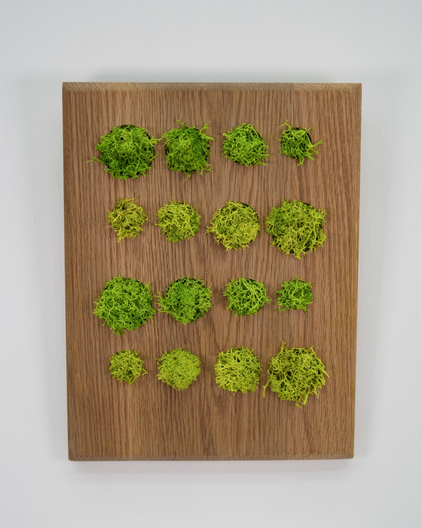 Okanagan Moss Grid