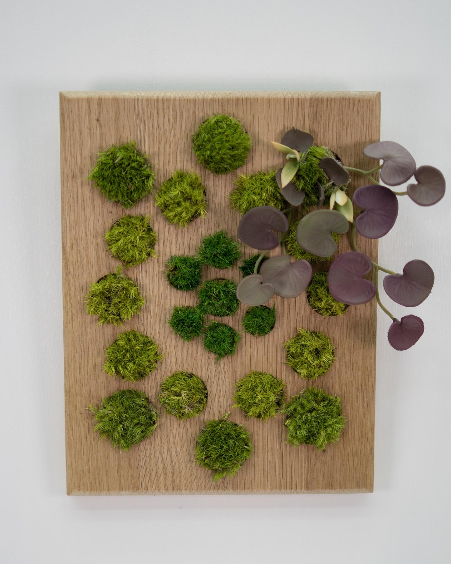 Lakeshore Cluster