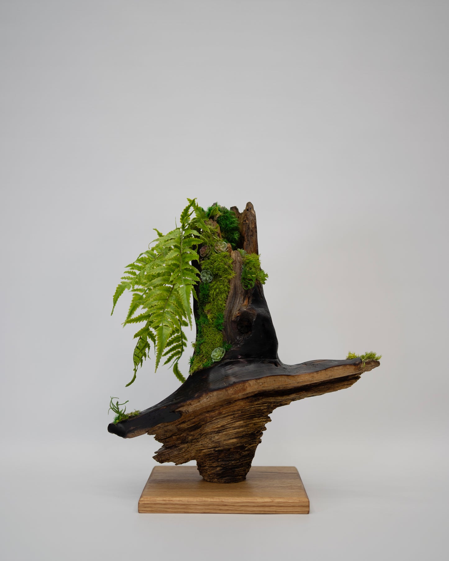 Timberfall Sculpture