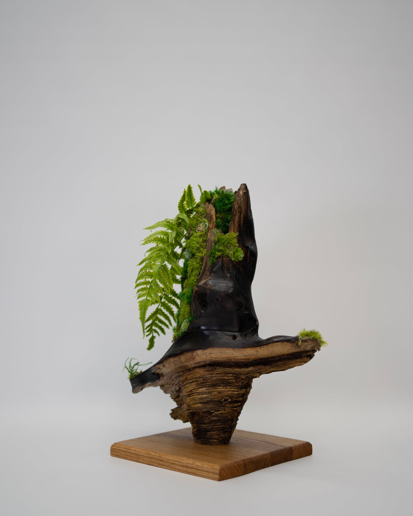Timberfall Sculpture