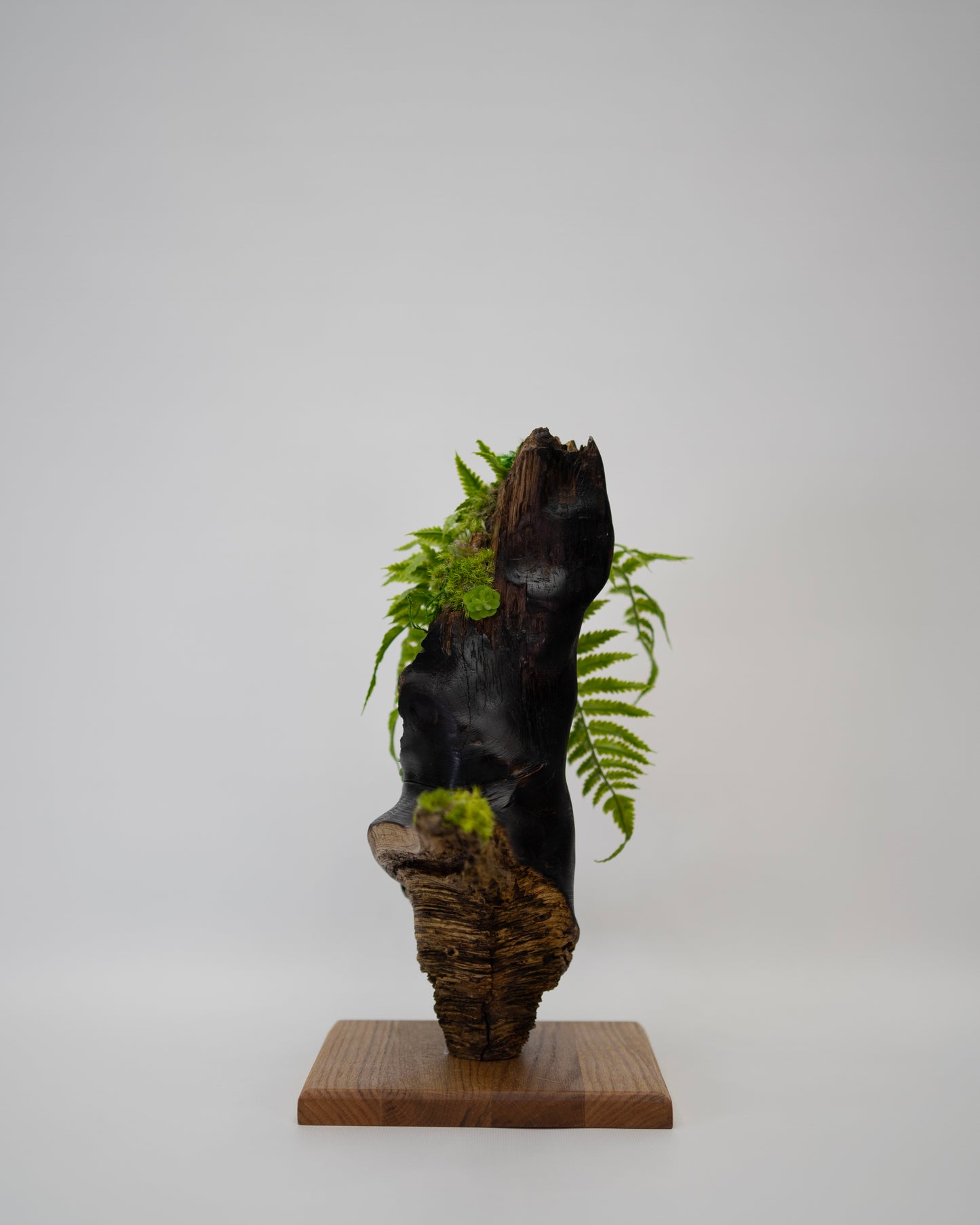 Timberfall Sculpture