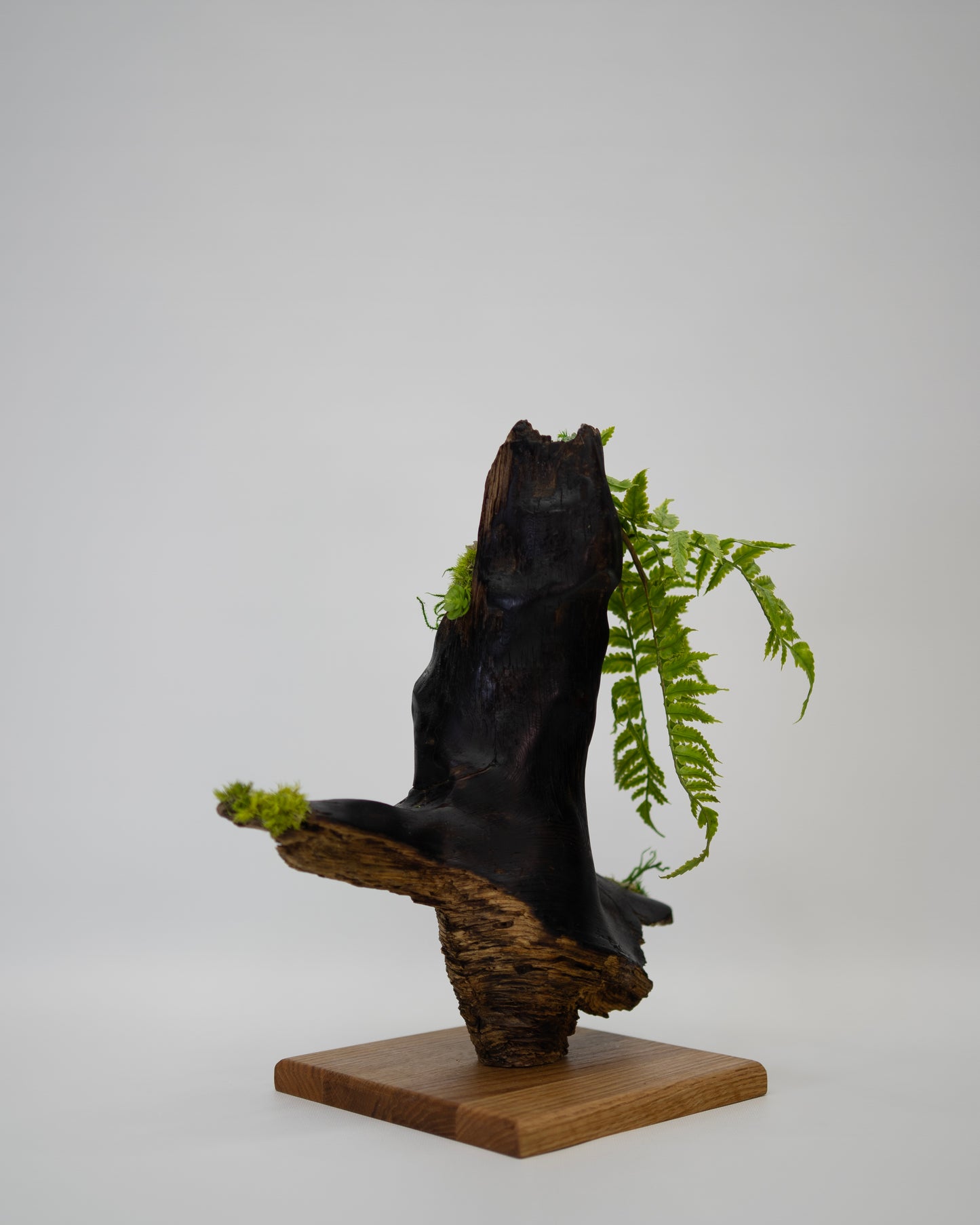 Timberfall Sculpture