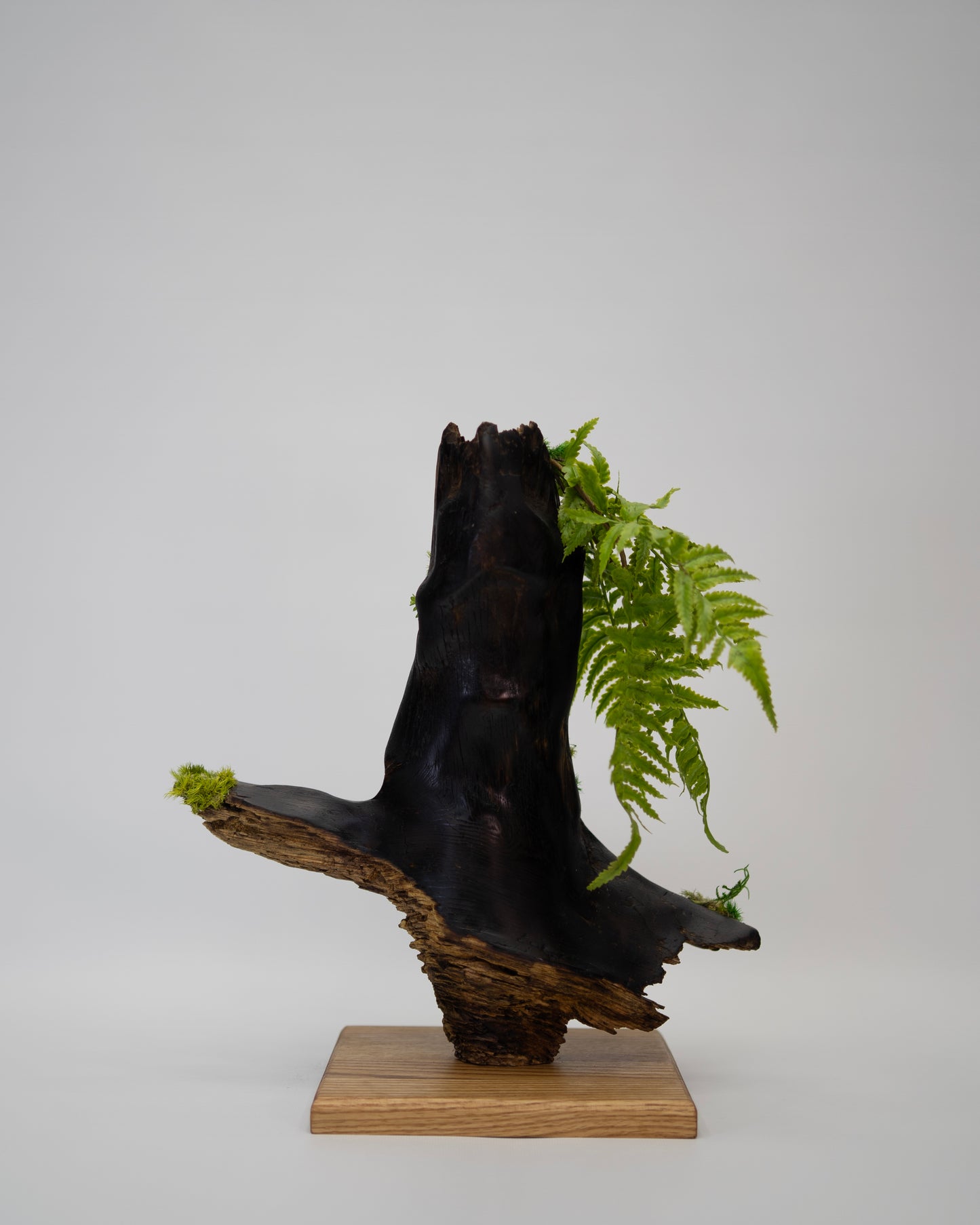 Timberfall Sculpture