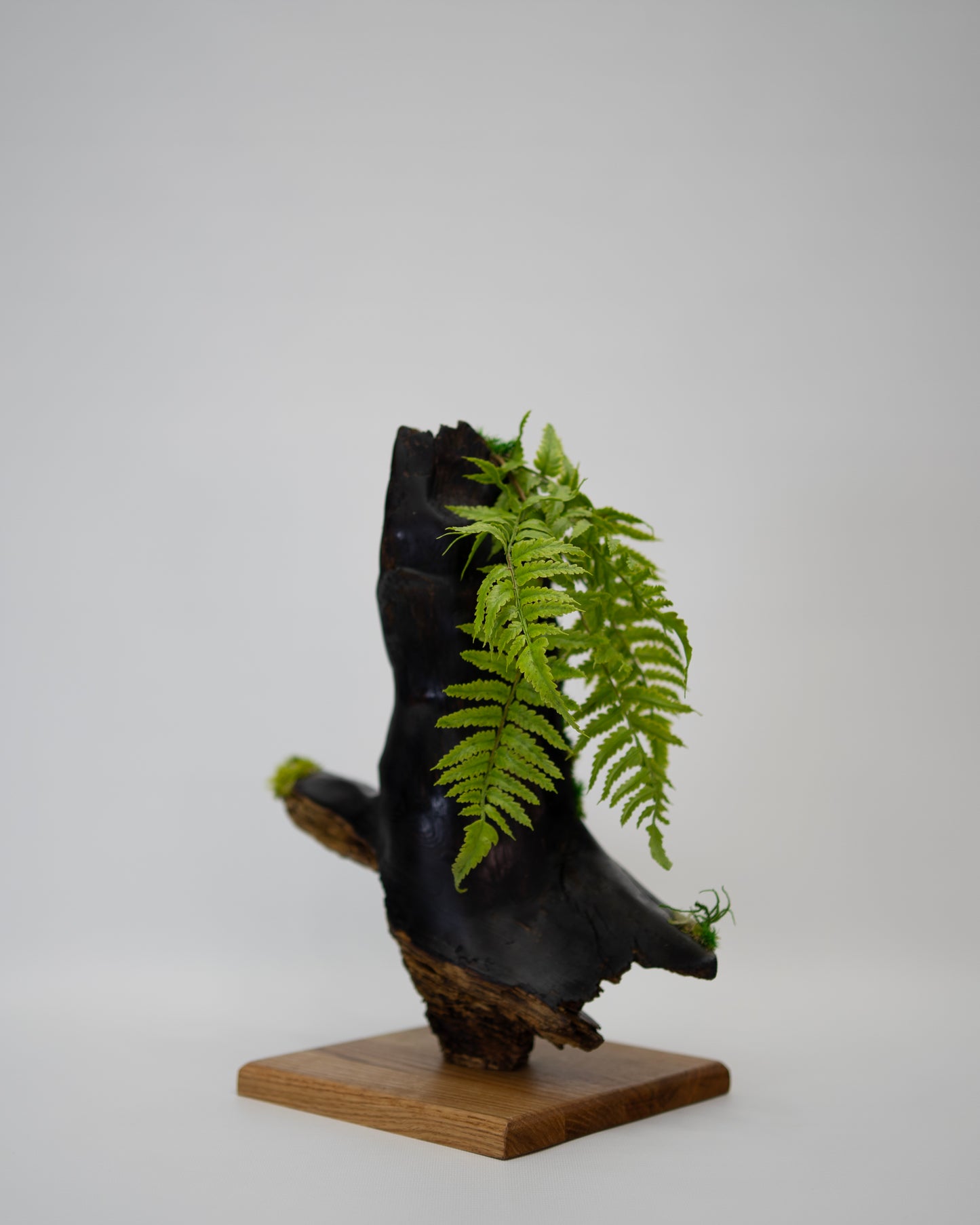 Timberfall Sculpture