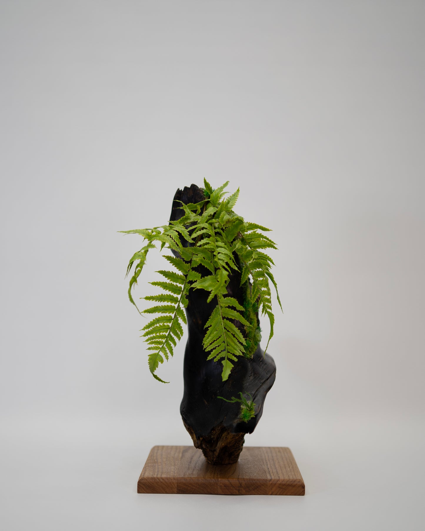 Timberfall Sculpture