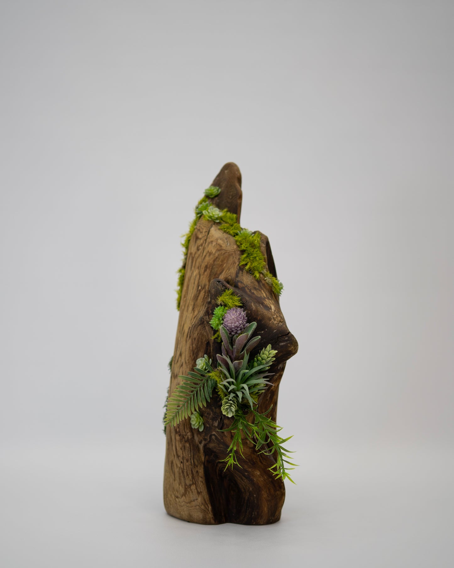 Verdant Summit