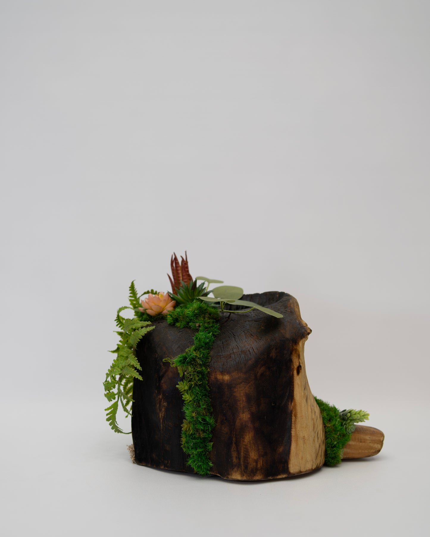 Root Revival