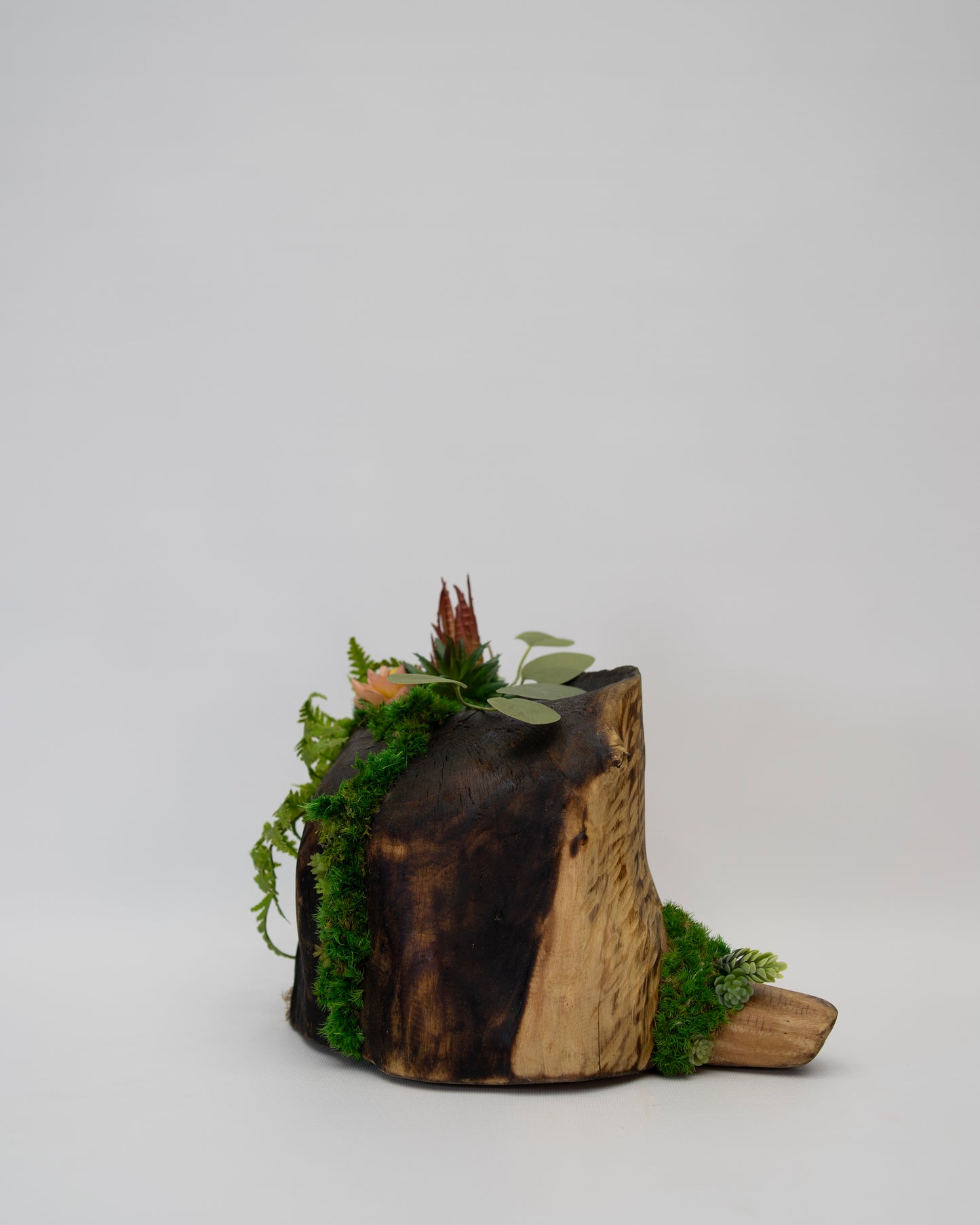 Root Revival