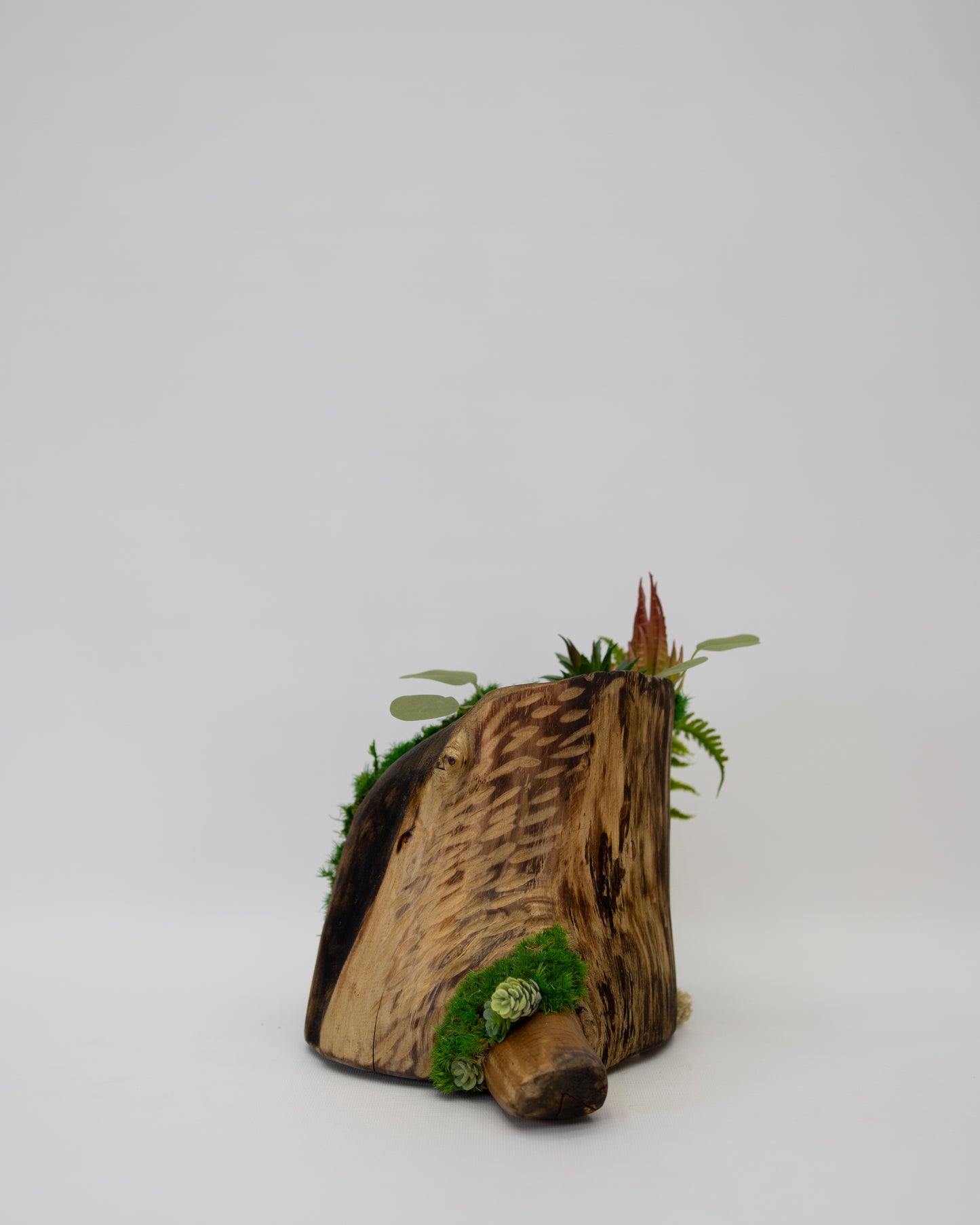 Root Revival