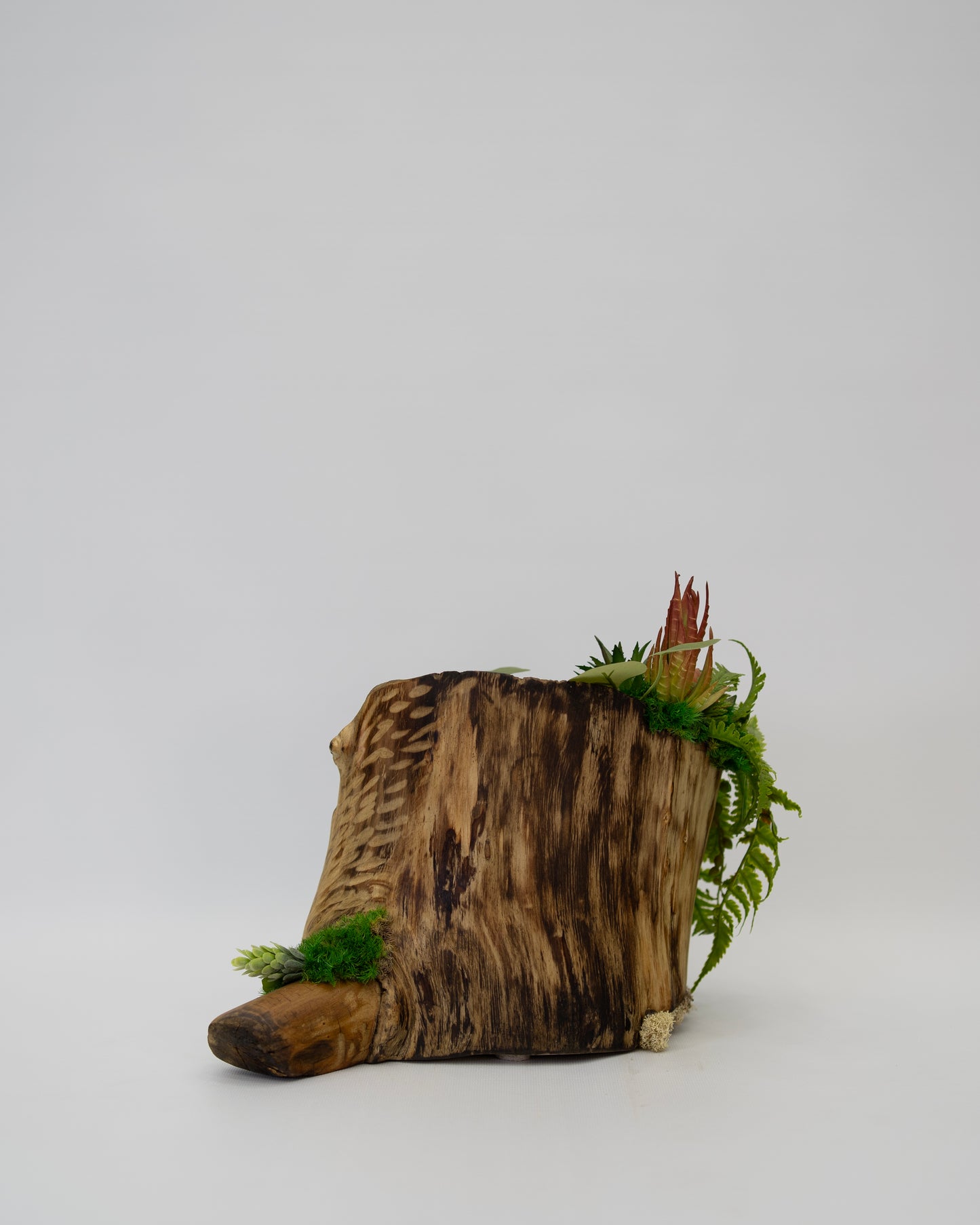 Root Revival