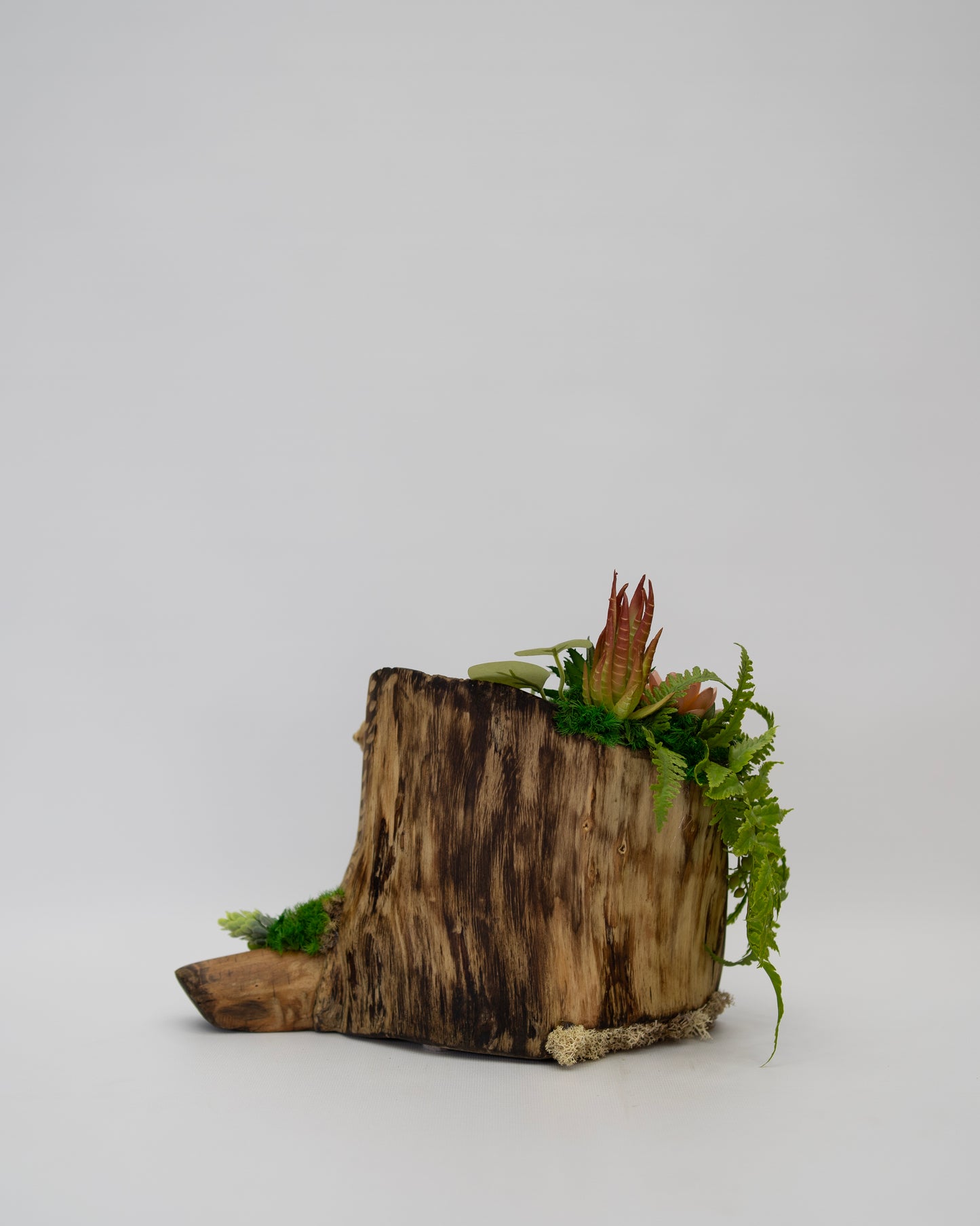 Root Revival