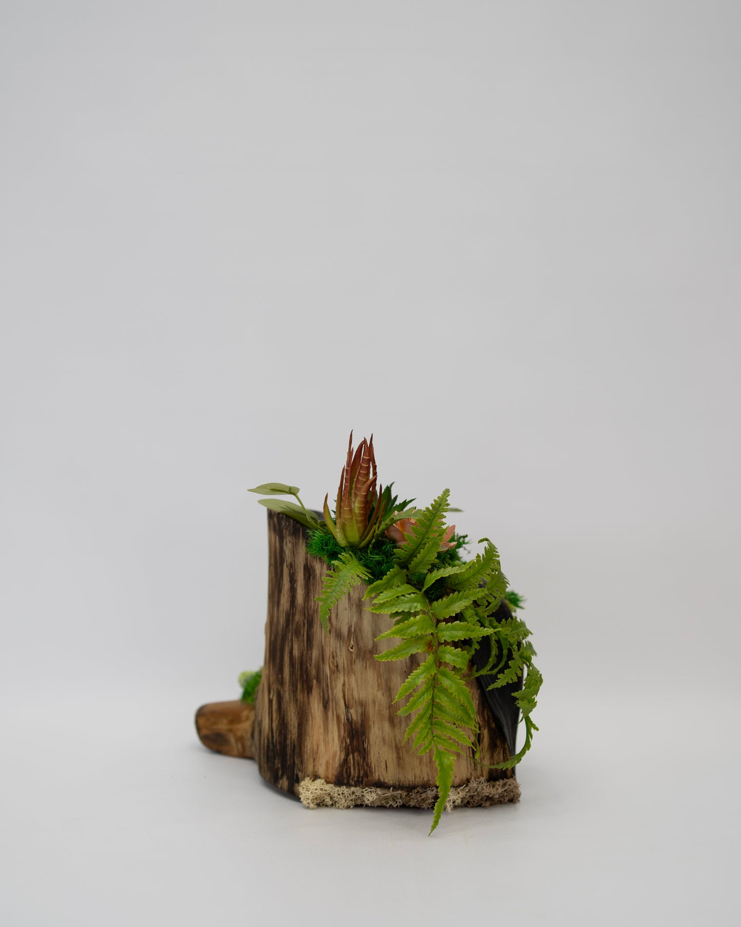 Root Revival
