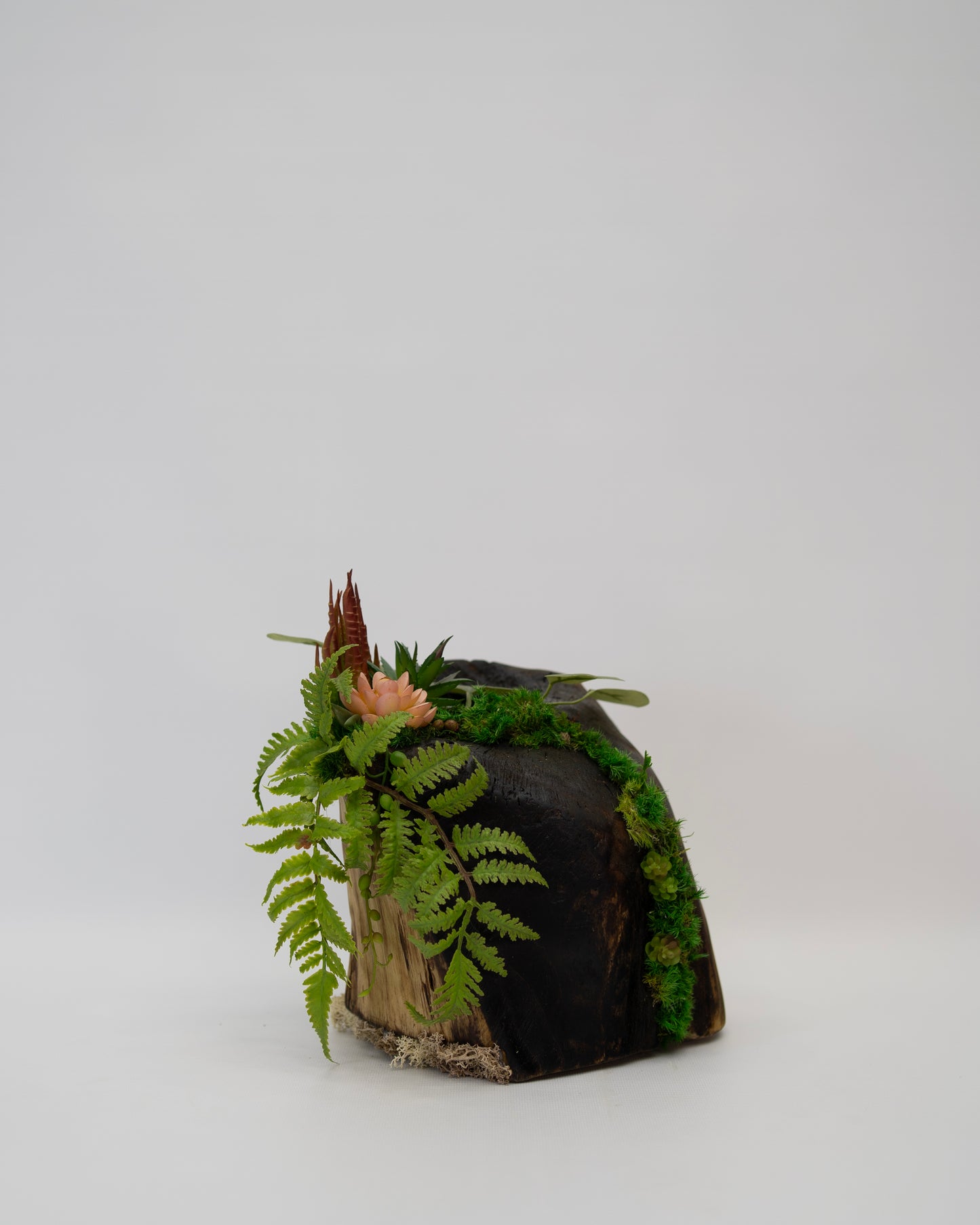 Root Revival