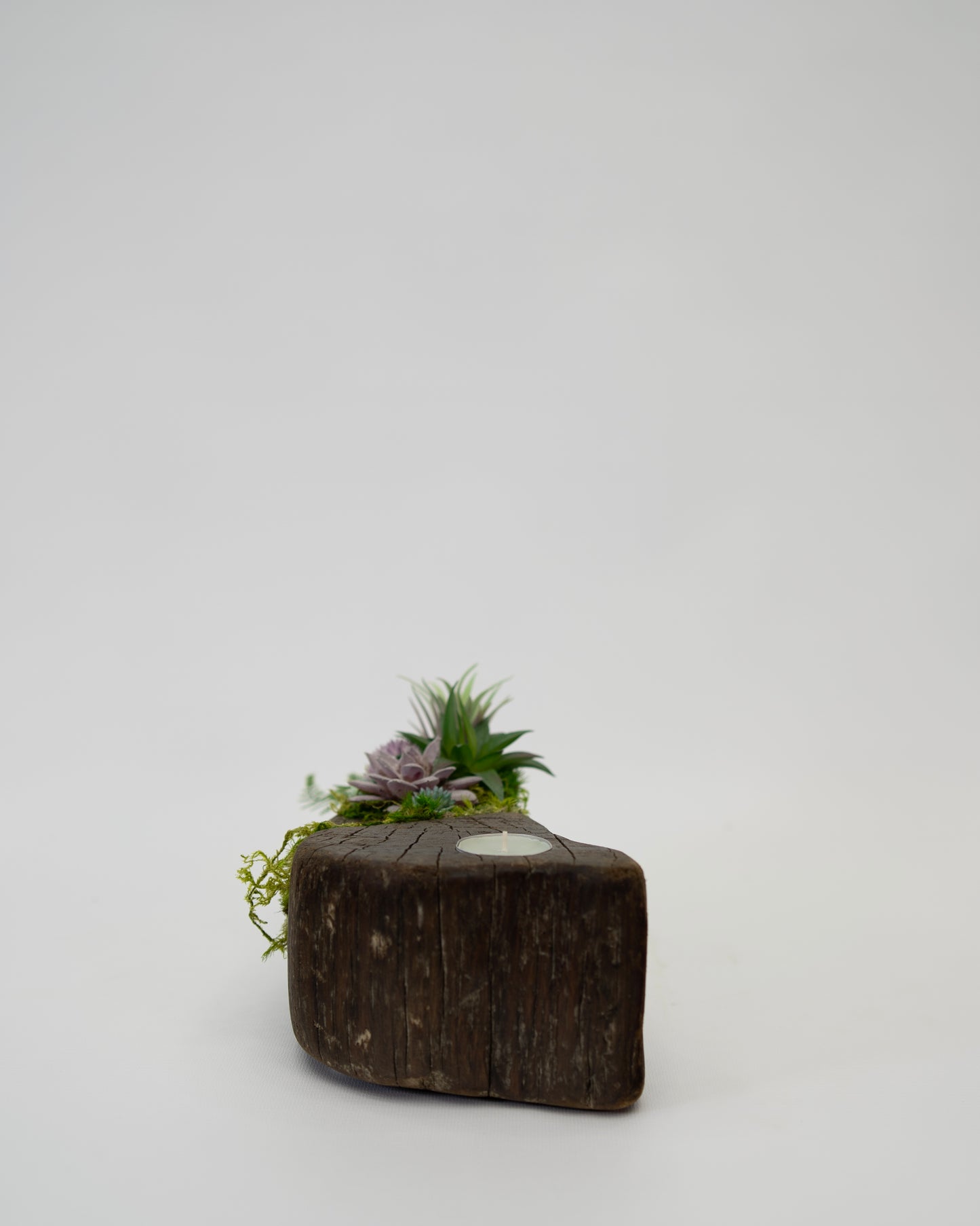 Still Candle Holder