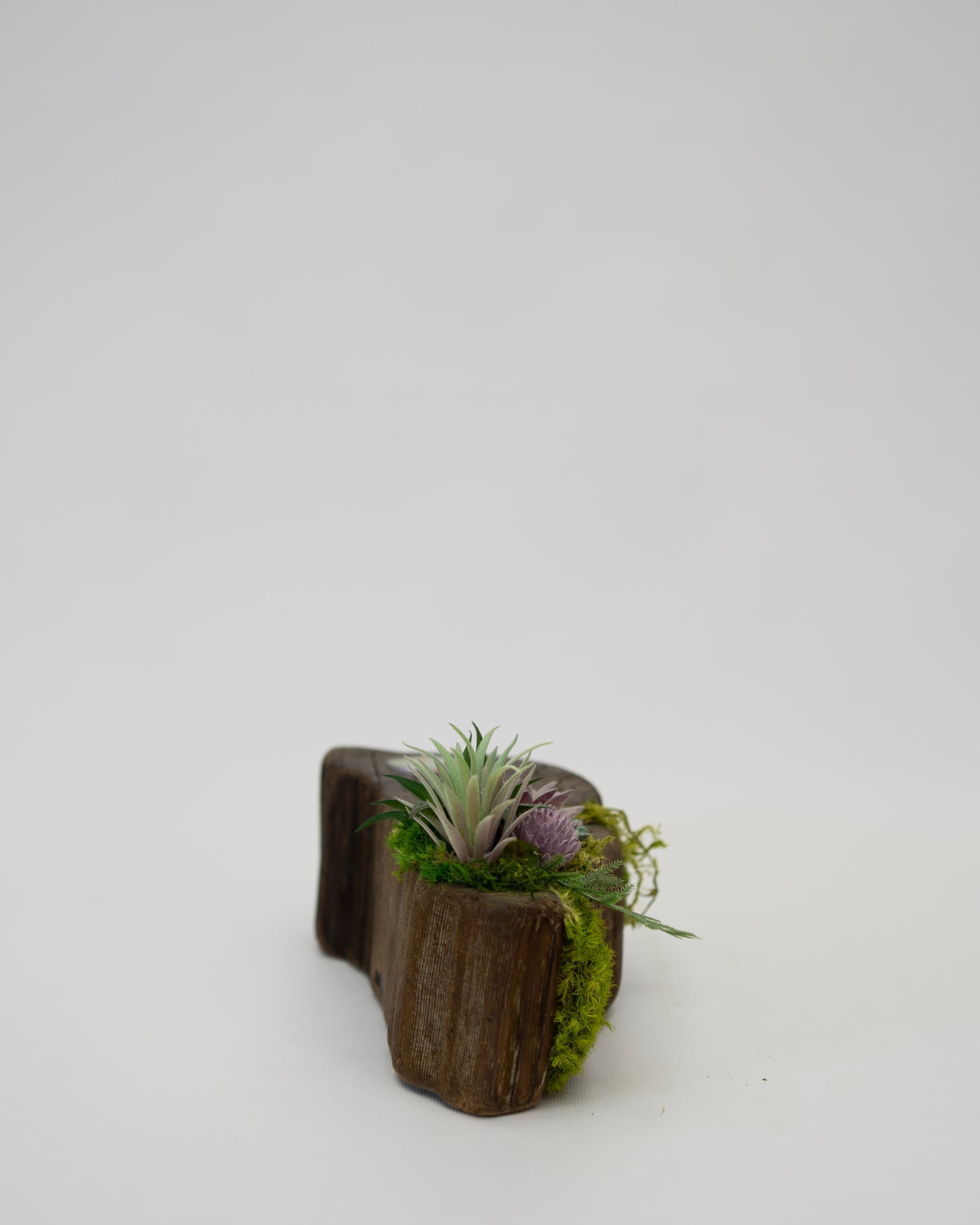 Still Candle Holder