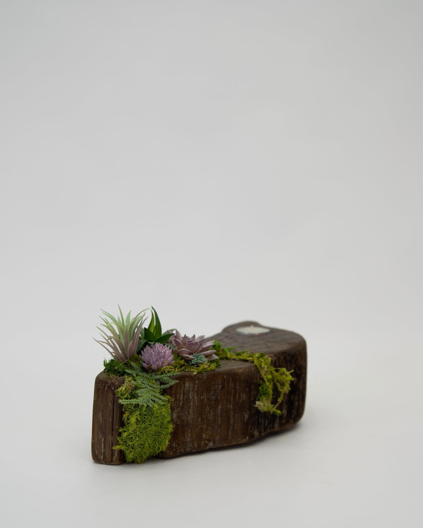 Still Candle Holder