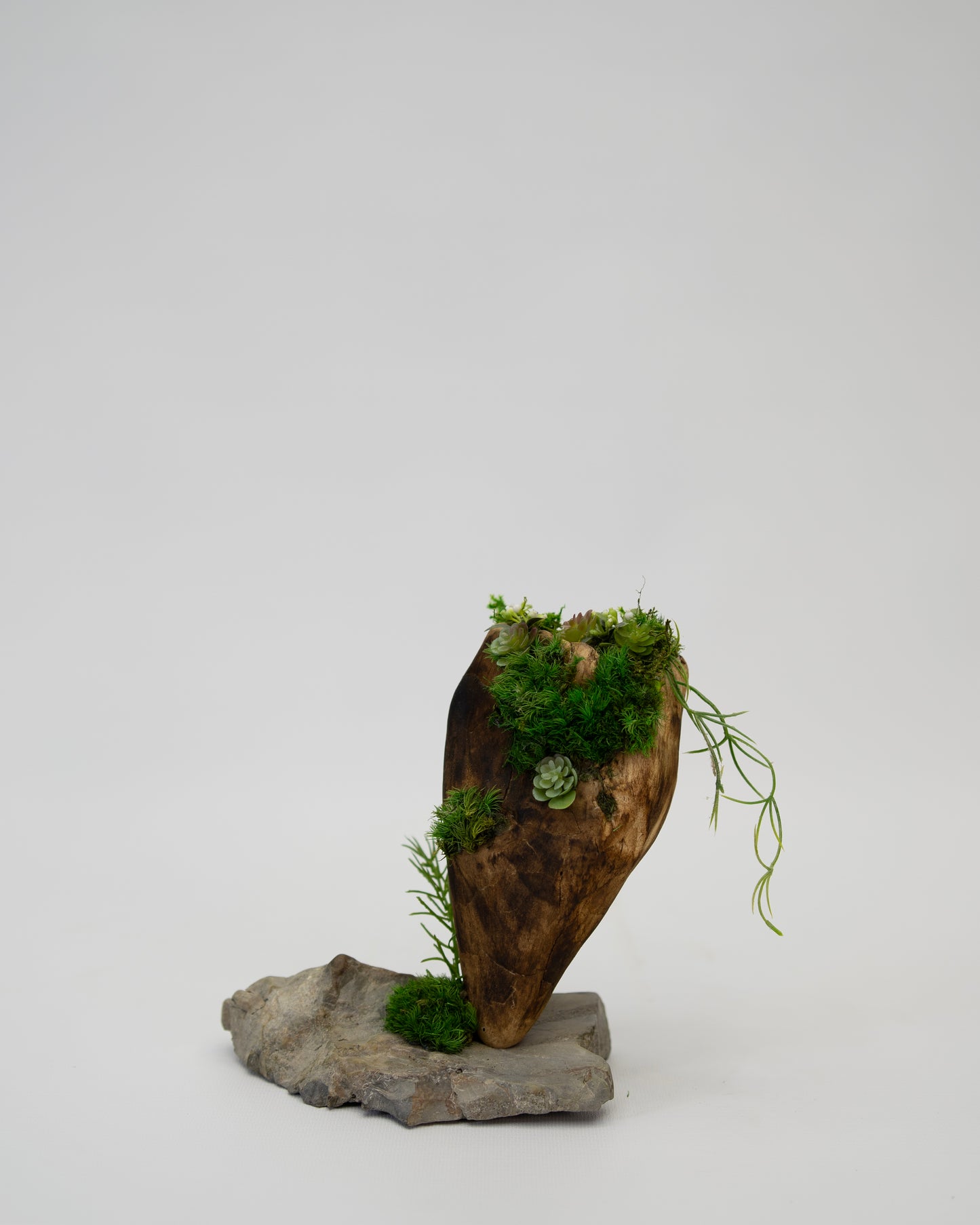 Green Moss Drift Display