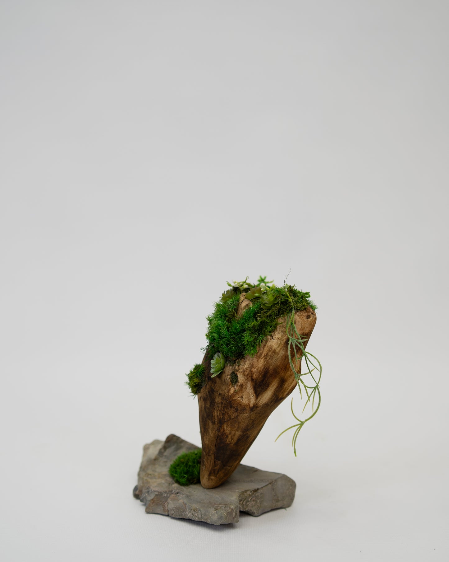 Green Moss Drift Display