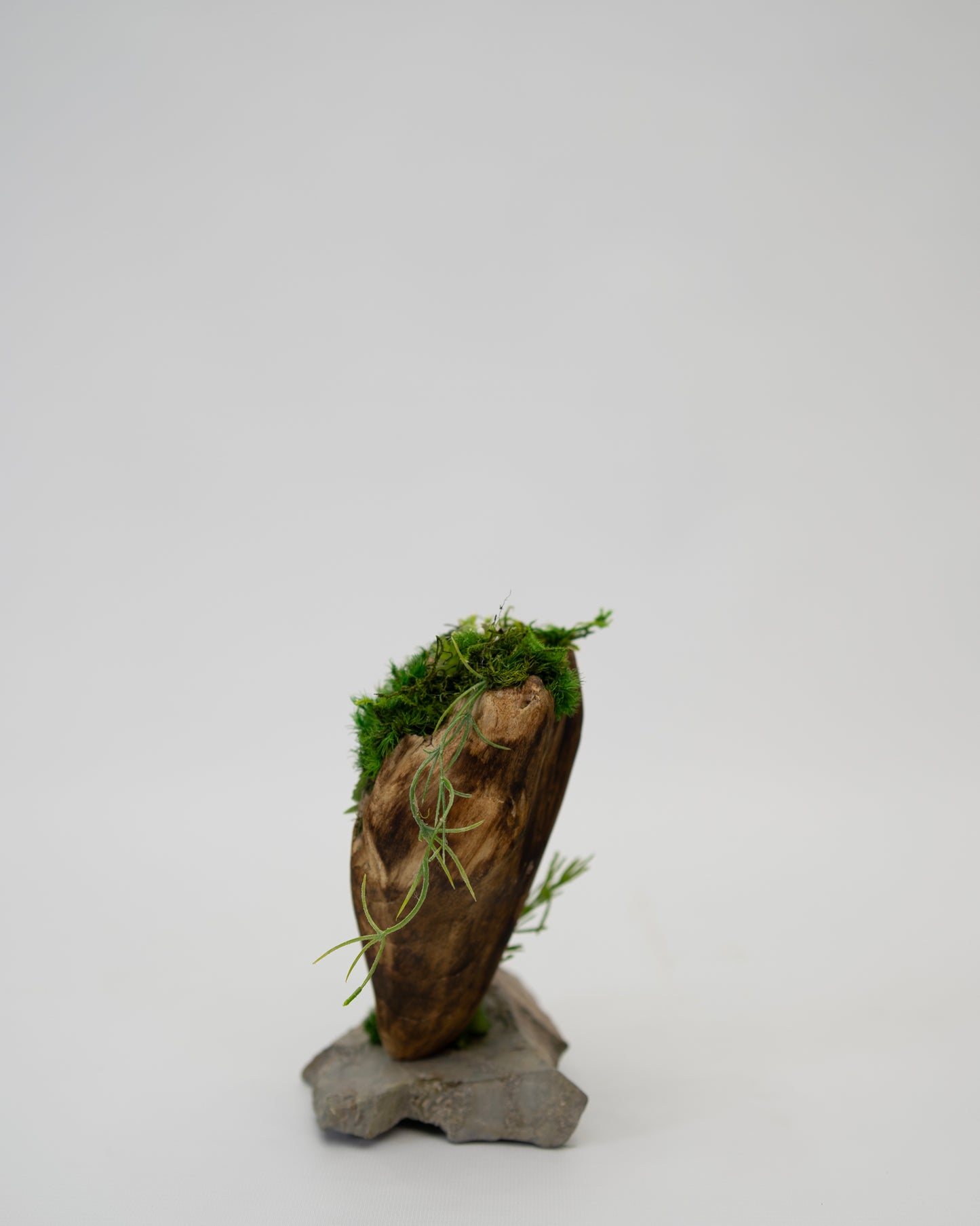Green Moss Drift Display