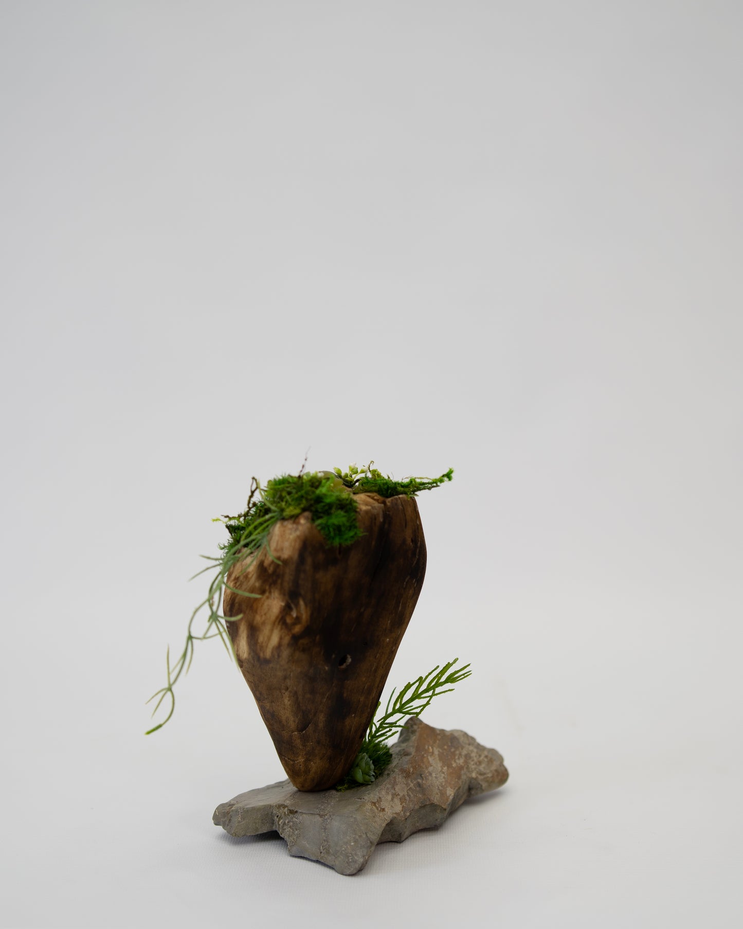 Green Moss Drift Display