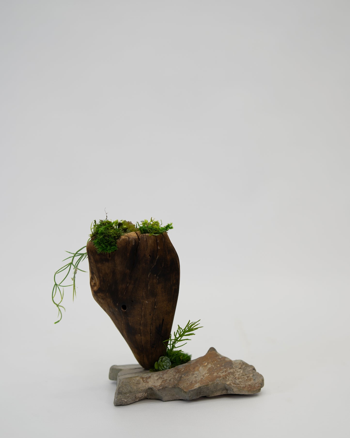 Green Moss Drift Display