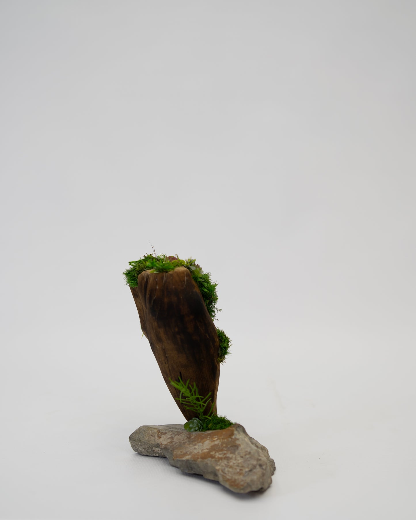 Green Moss Drift Display