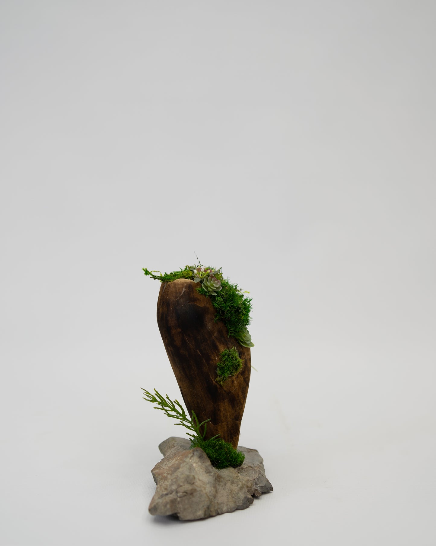 Green Moss Drift Display