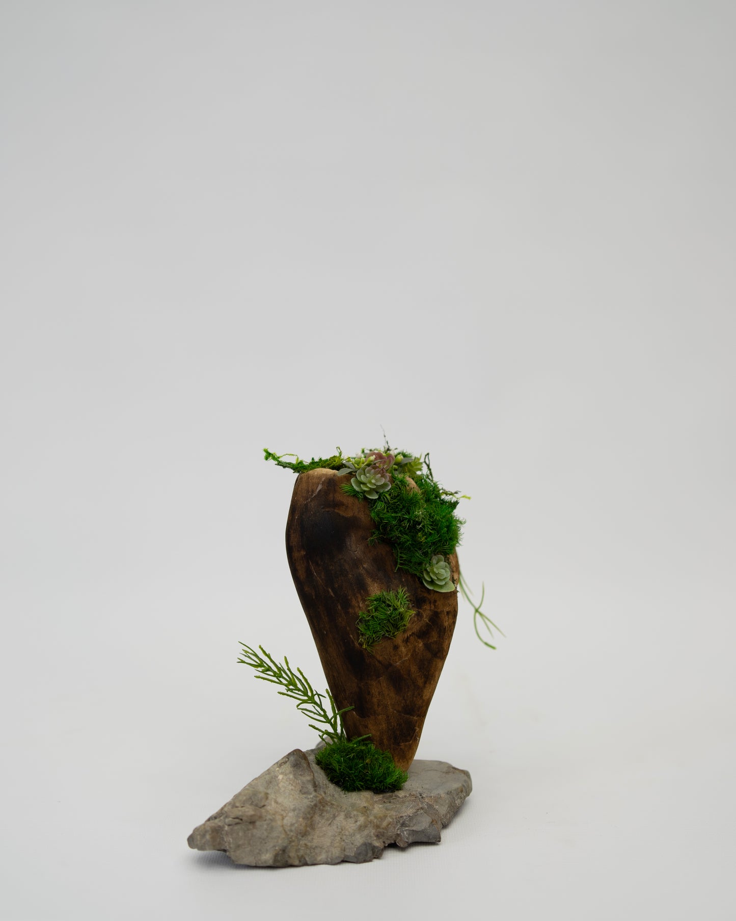 Green Moss Drift Display