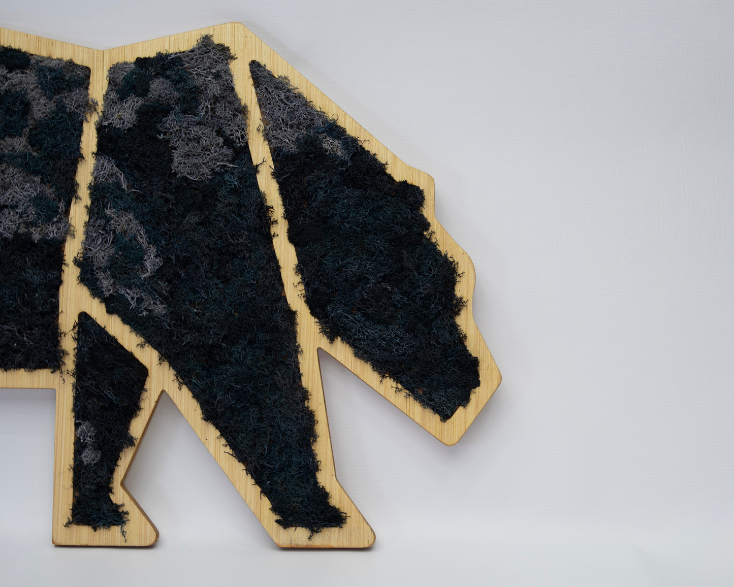 Mossback Bear