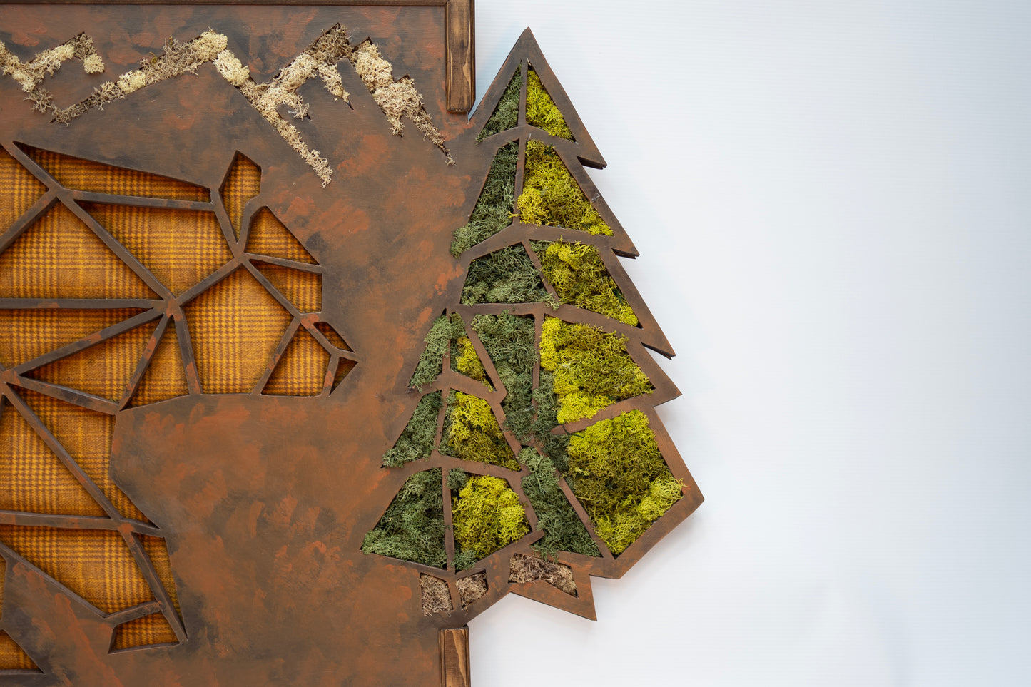 Timberline Bear