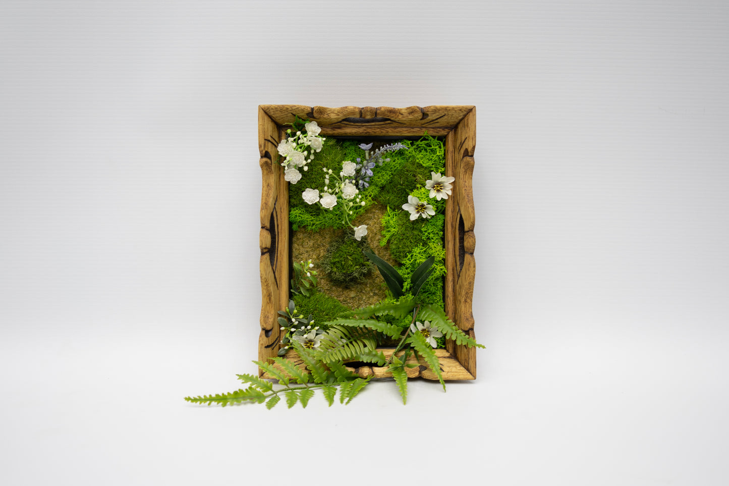 Wildwood Window