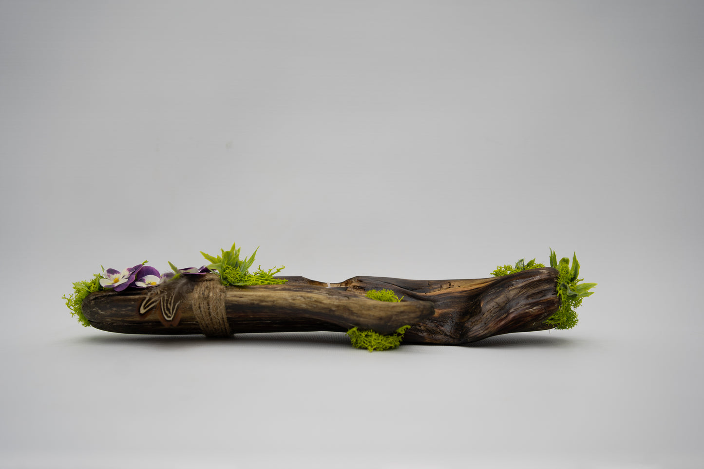 The Moss Ledge