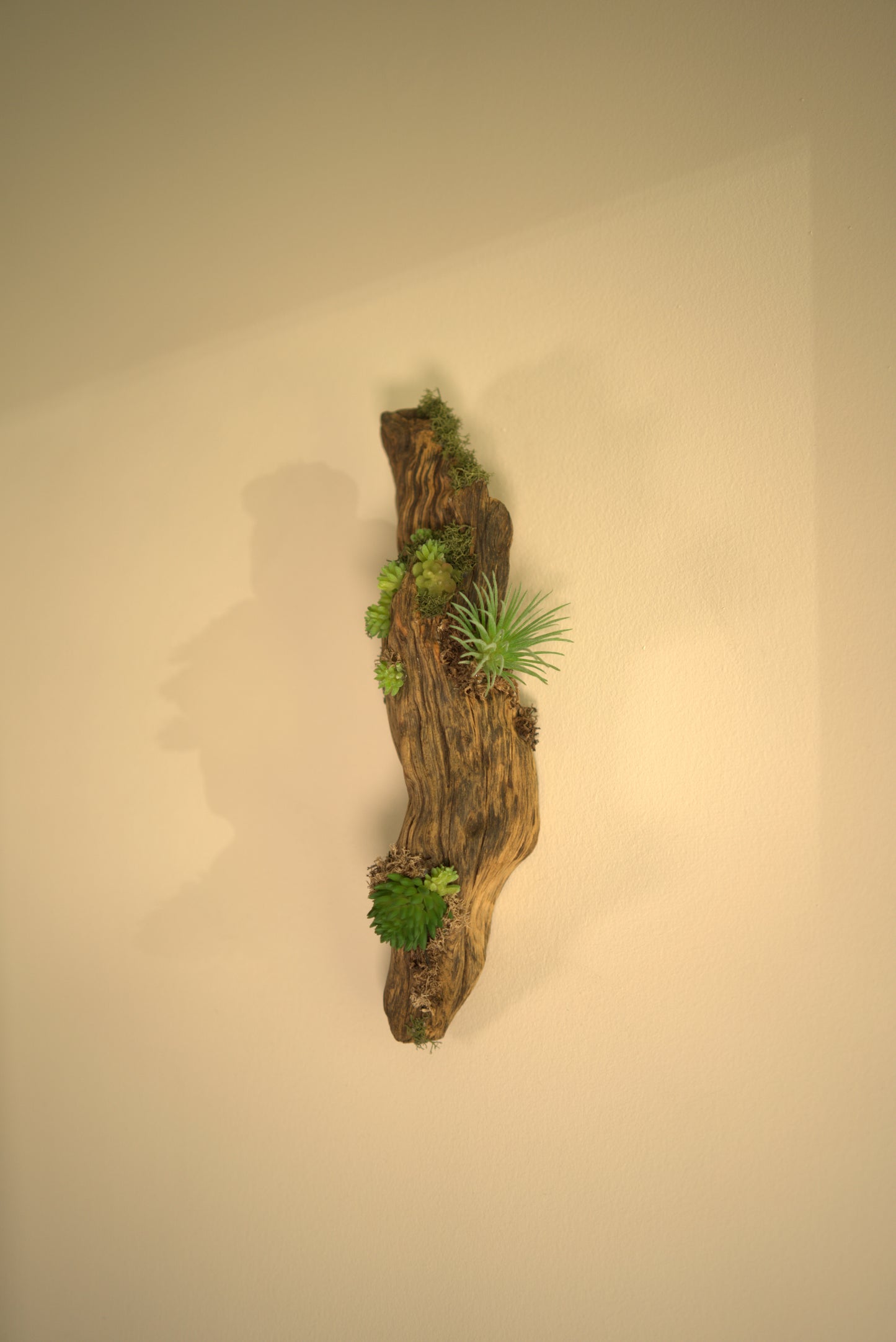 Faux Fleur Drift Sconce