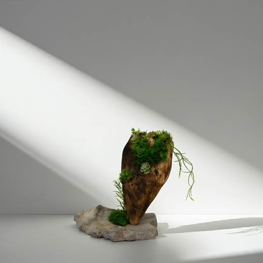 Green Moss Drift Display