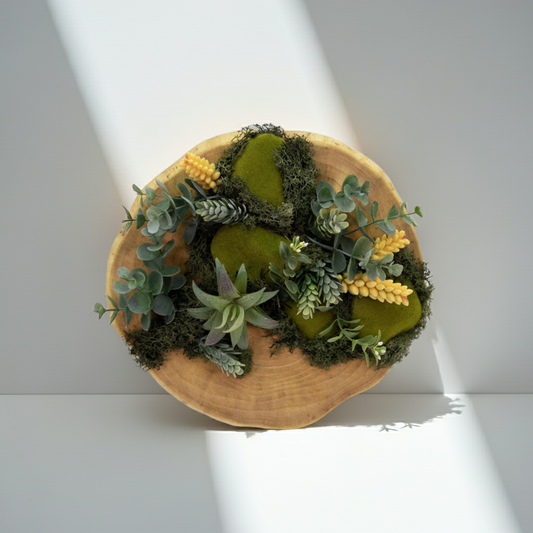 Nature’s Nest