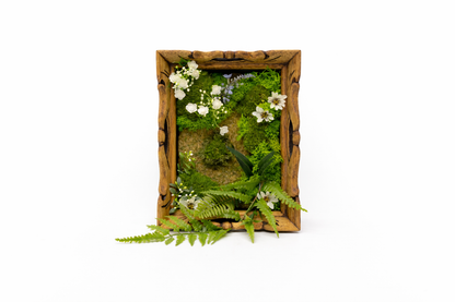 Wildwood Window