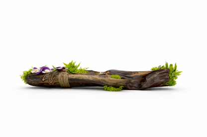 The Moss Ledge
