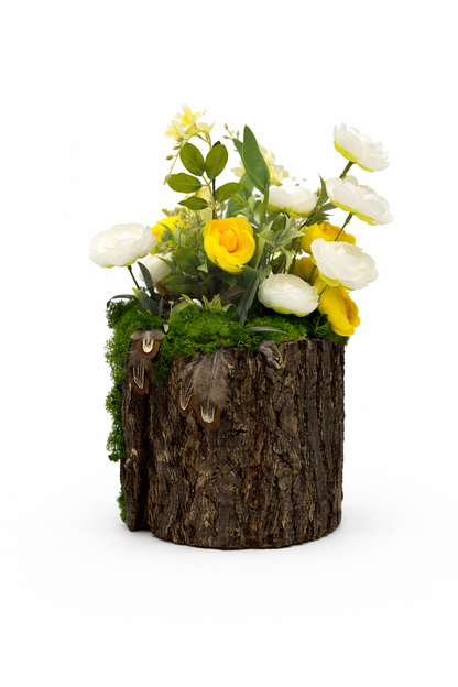 Woodland Nest