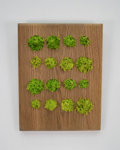 Okanagan Moss Grid
