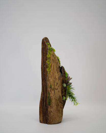 Verdant Summit