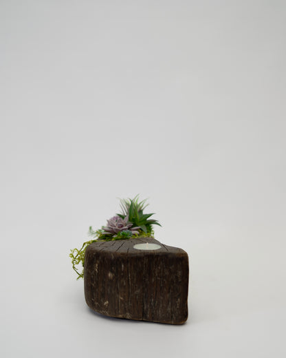 Still Candle Holder
