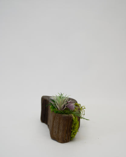 Still Candle Holder