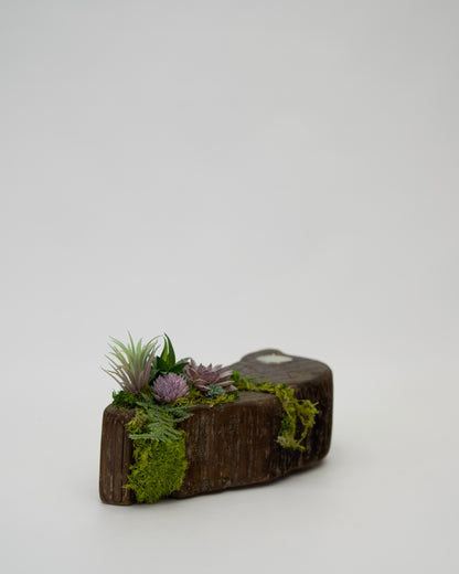 Still Candle Holder