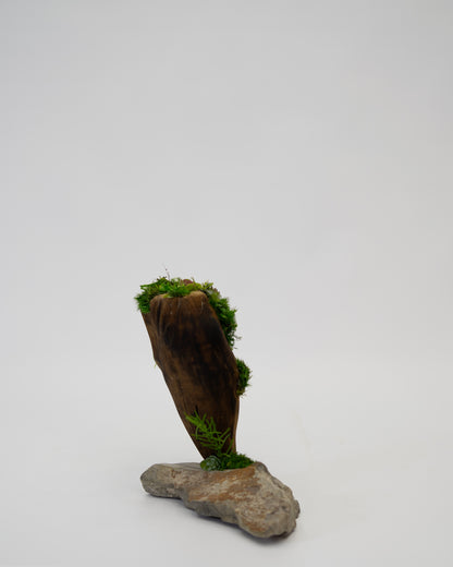 Green Moss Drift Display
