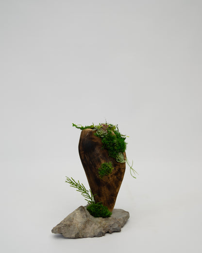 Green Moss Drift Display