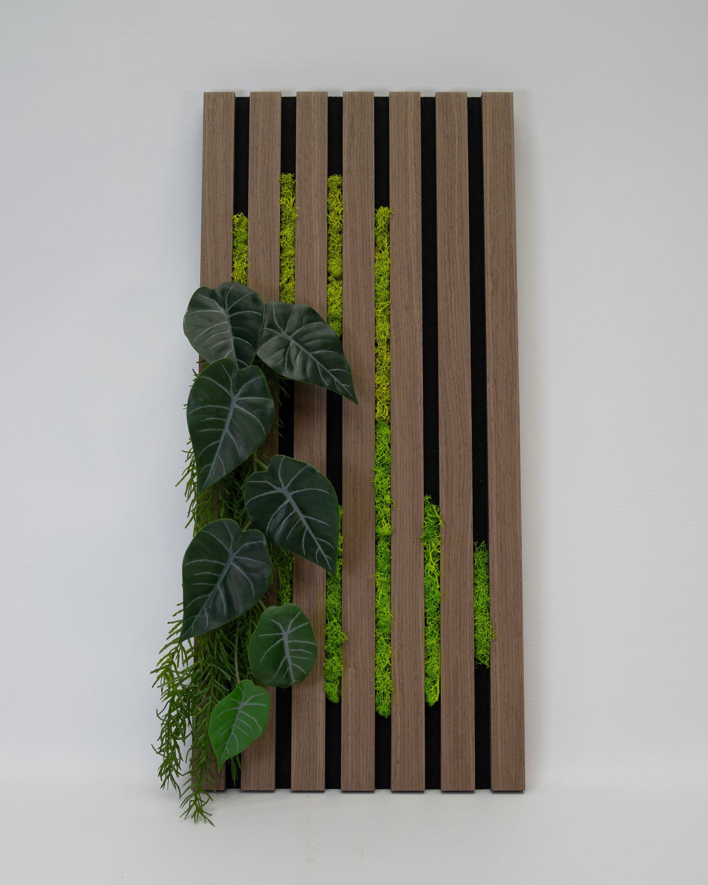 Vine Line Frame