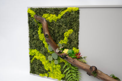 Mossflow Frame