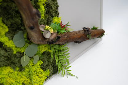 Mossflow Frame