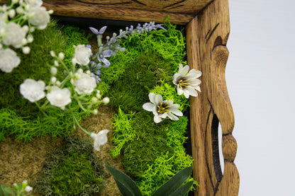 Wildwood Window